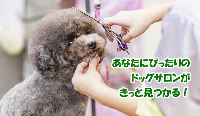 õ�����ɥå�������